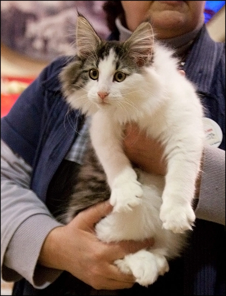 Eden de Talmanis 3.jpg - Eden de Talmanis